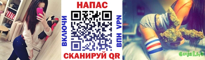 hydra рабочий сайт  Советская Гавань  Шишки марихуана планчик  что такое наркотик 